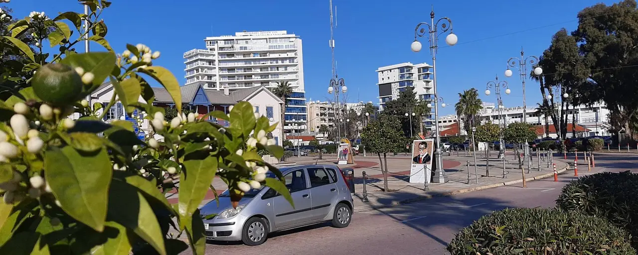 Notary and Buying Property in Cyprus