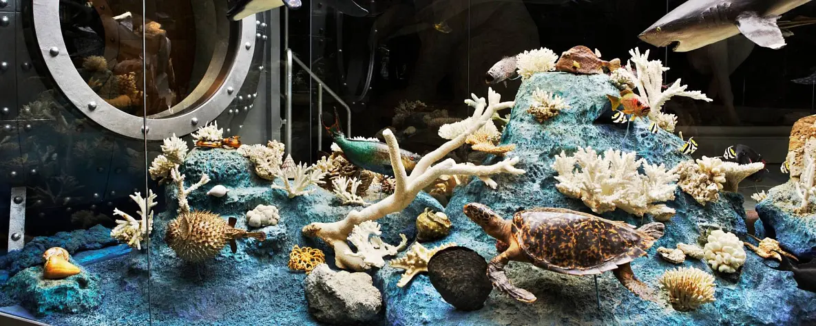 The new Sea Museum in Latchi will open on 2 September