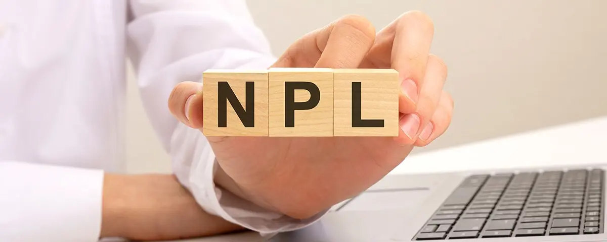 Volume of NPL's in the portfolios of loan purchasing companies reached €18.5 billion.