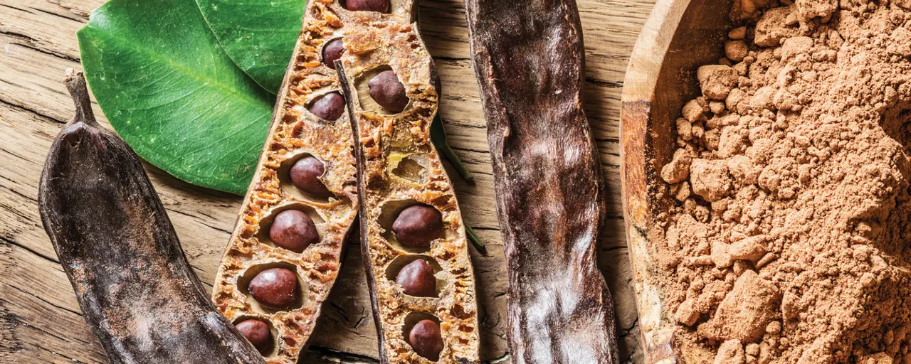 На Кипре появится фабрика по производству продуктов из рожкового дерева
