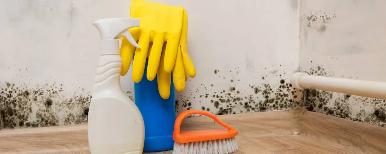 Humidity and mold in your Cyprus home
