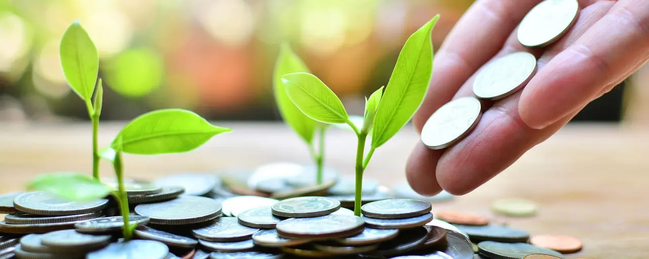 На Кипре сократились активы инвестфондов
