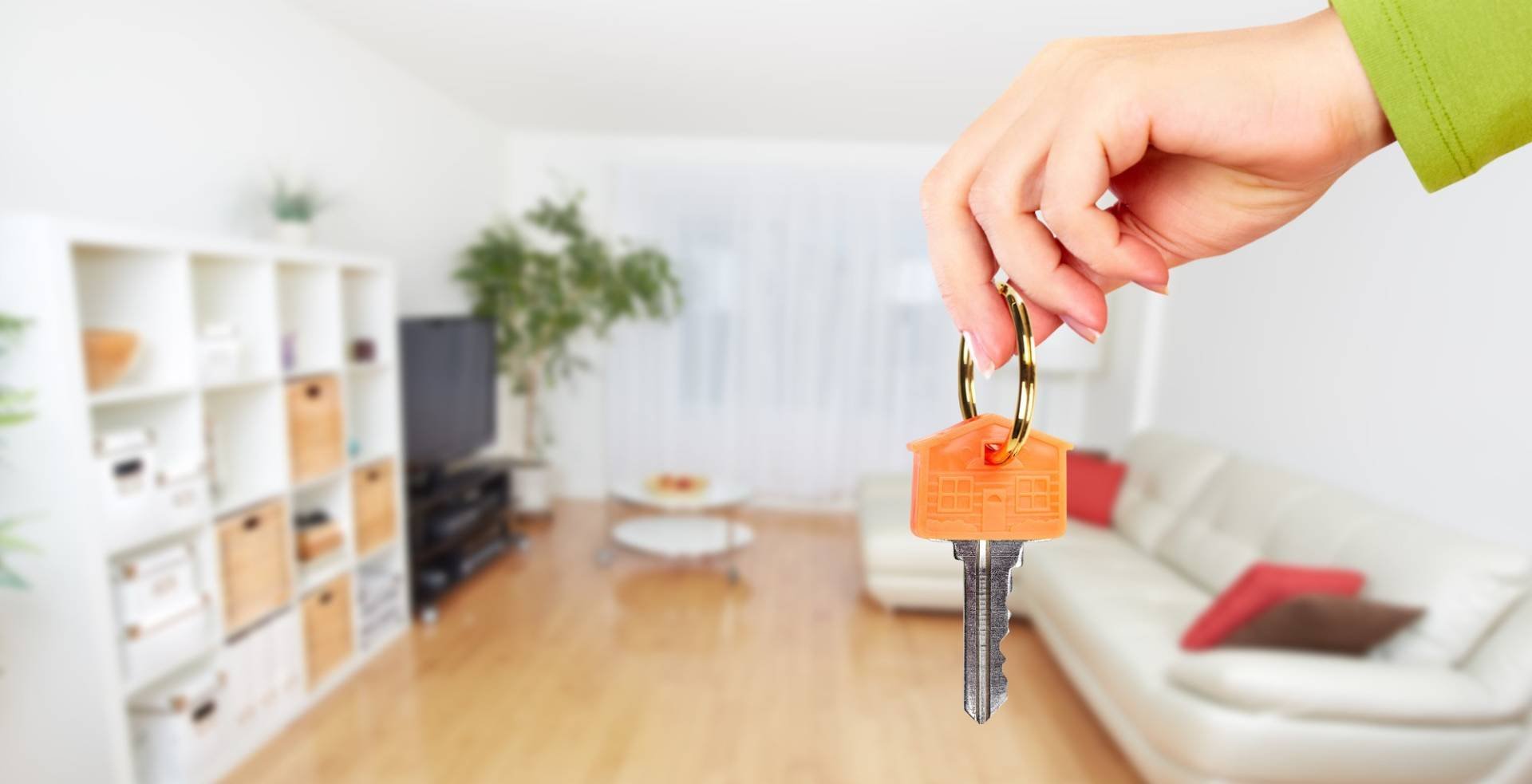 Real Estate Agents Registration Board calls for ban on daily rental of private properties in Cyprus.