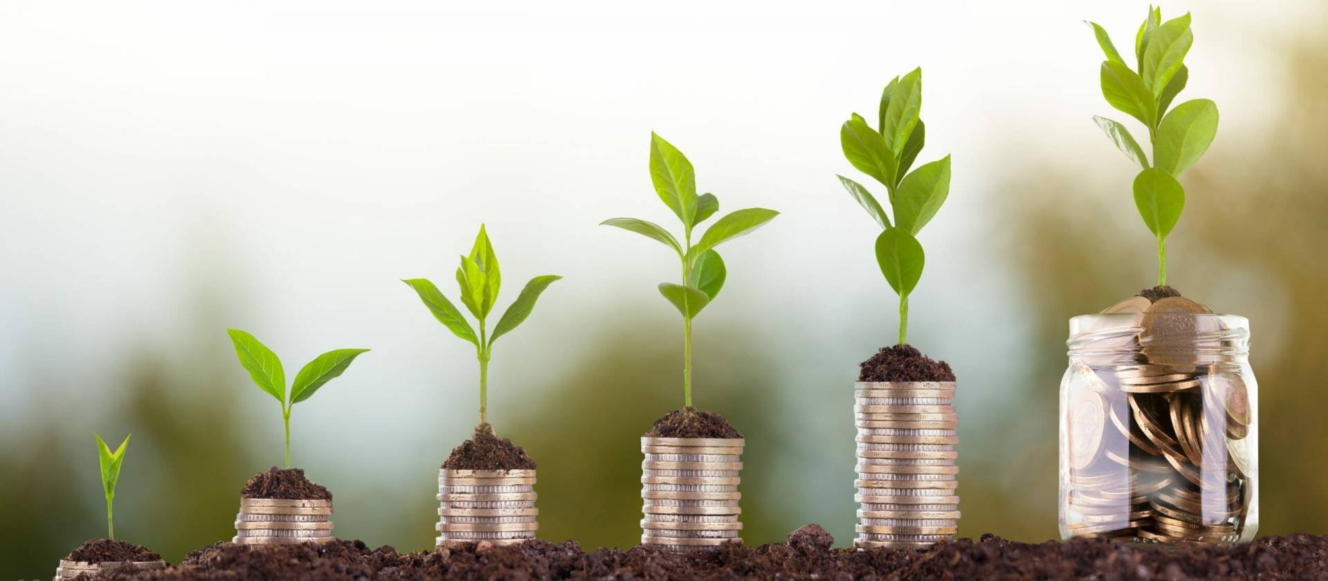Investment Fund Assets in Cyprus Growing at Record Pace