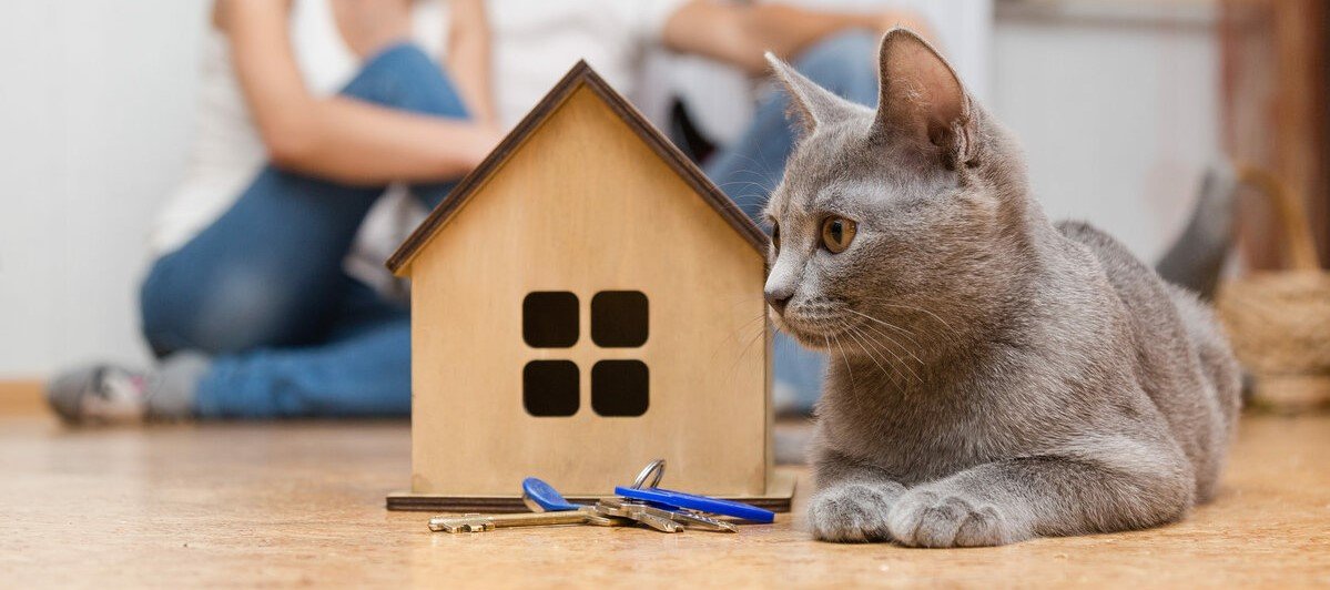 Cyprus to Write Off Mortgage Debts Totaling €23.2 Million