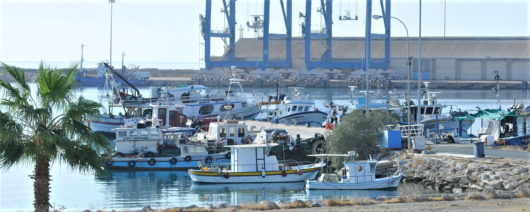 Larnaca New Marina - Largest Investment in Cyprus History