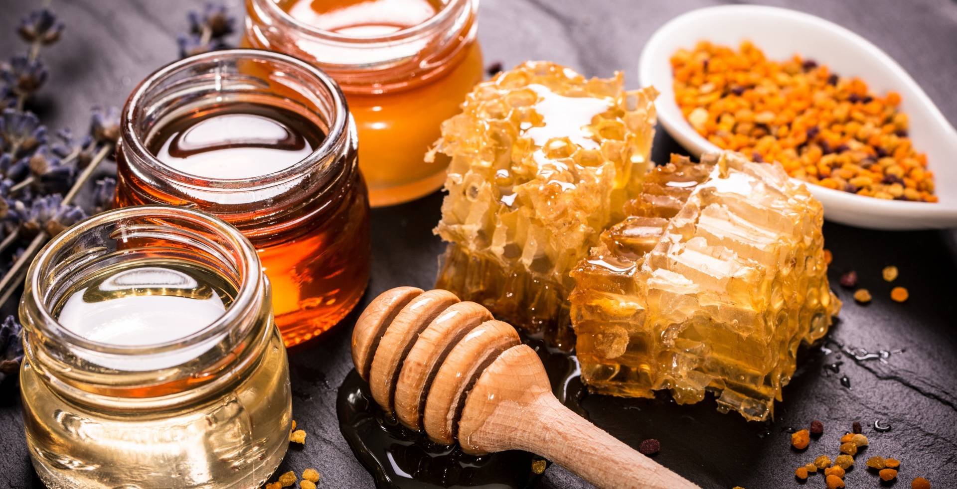Apianthos Beekeeping Center: новый центр пчеловодства на Кипре