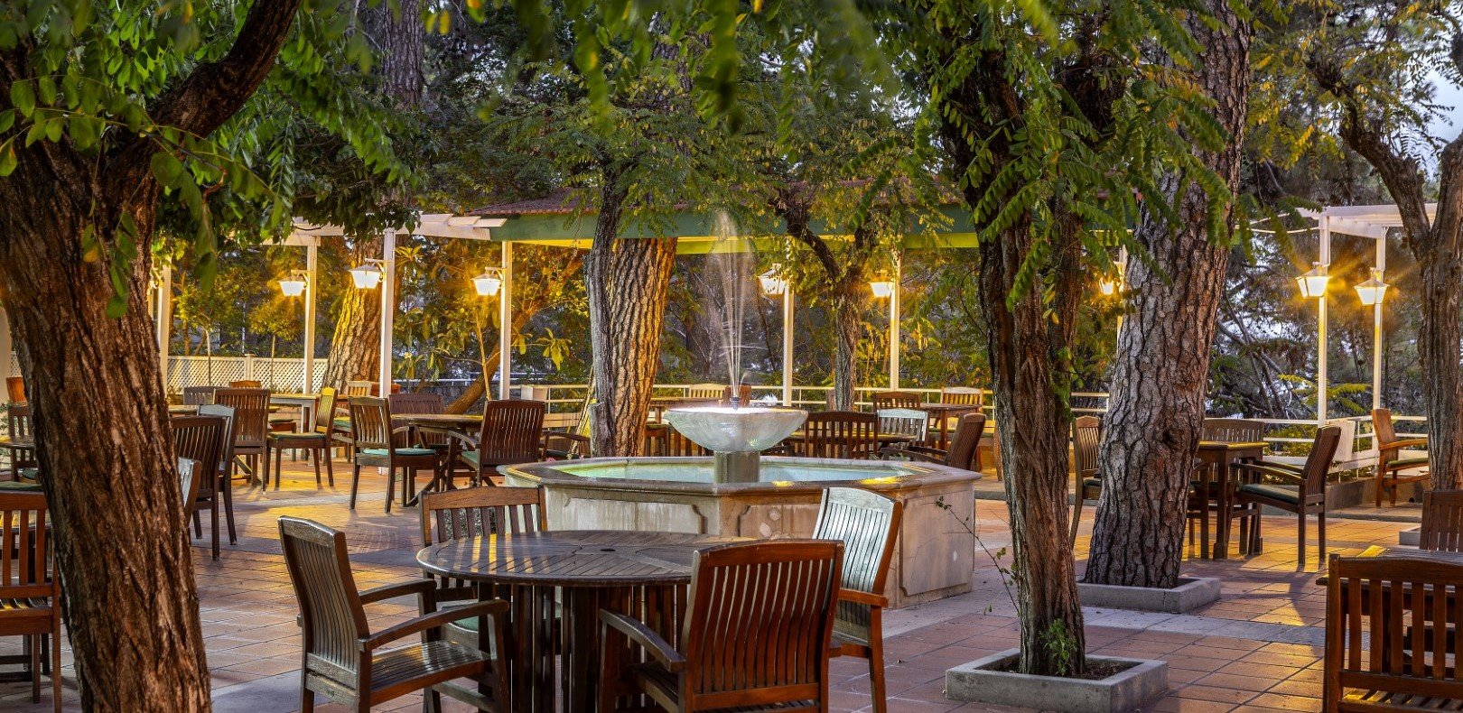 Forest Park Hotel in Platres has a new owner