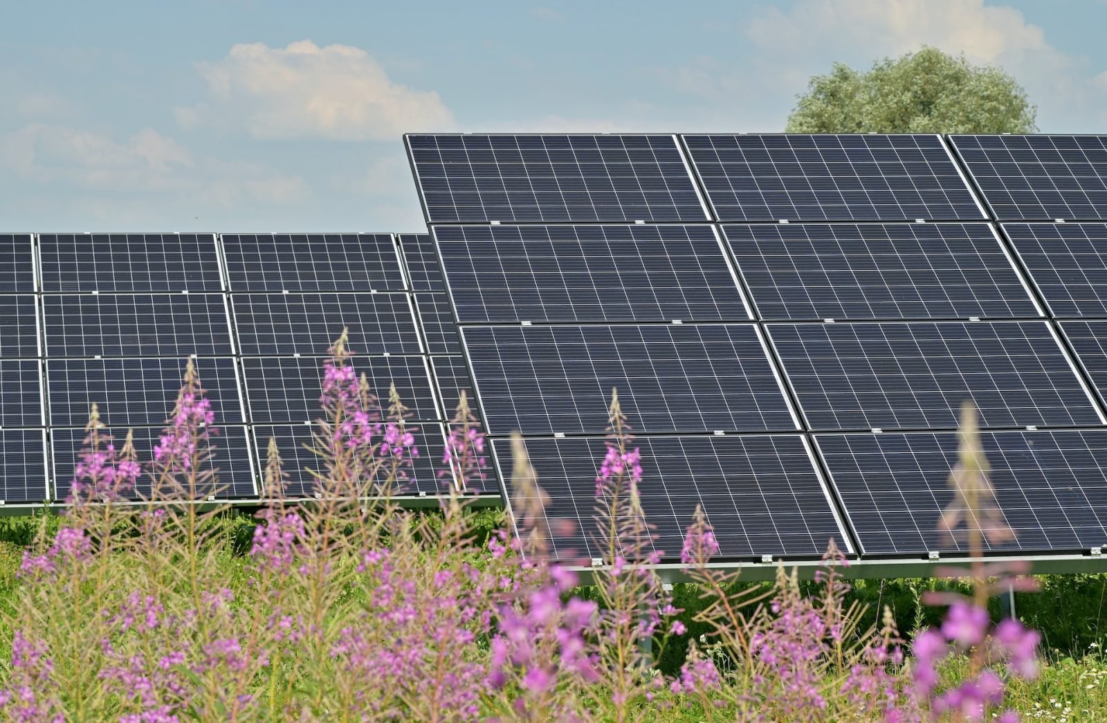 Modern photovoltaic systems will be installed in all units of the Ministry of Defence and the Cypriot National Guard