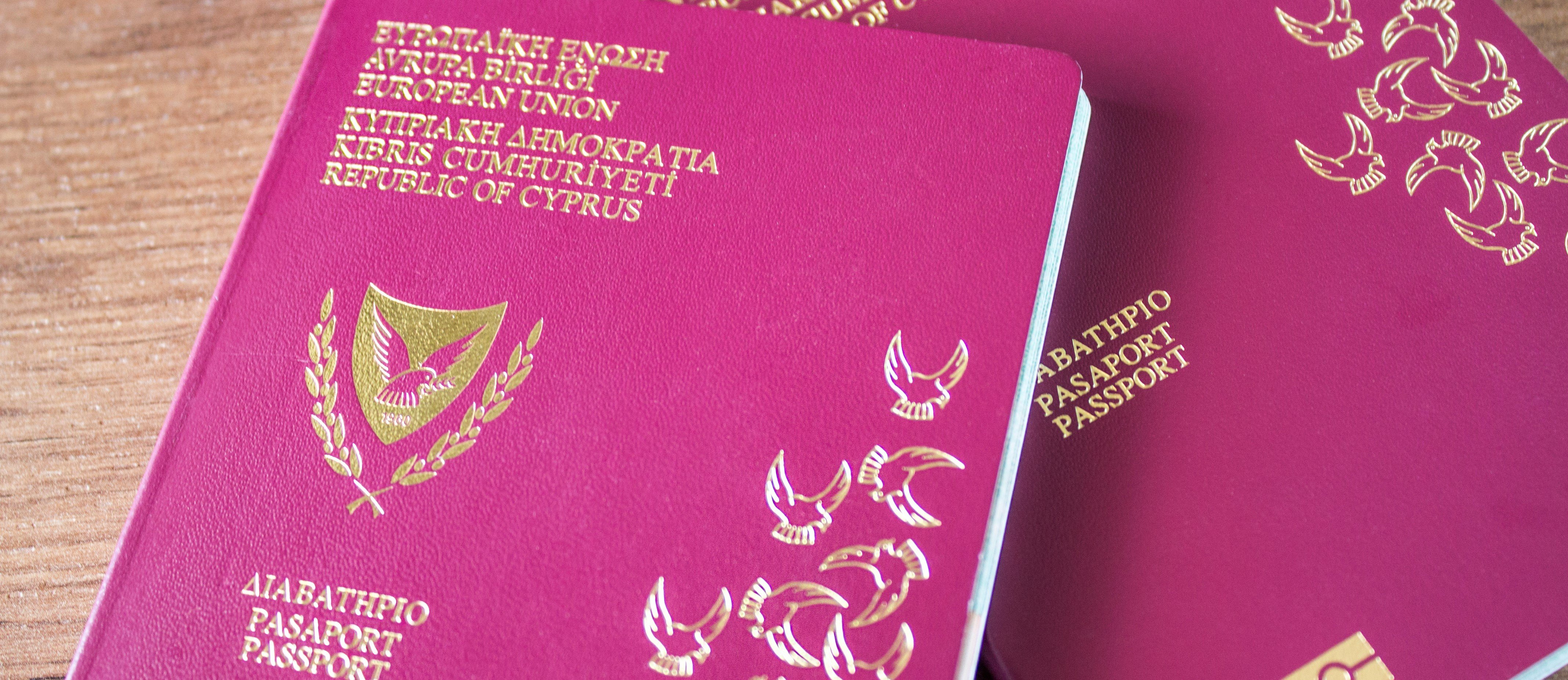С чем связаны задержки в рассмотрении дел о предоставлении гражданства на Кипре?