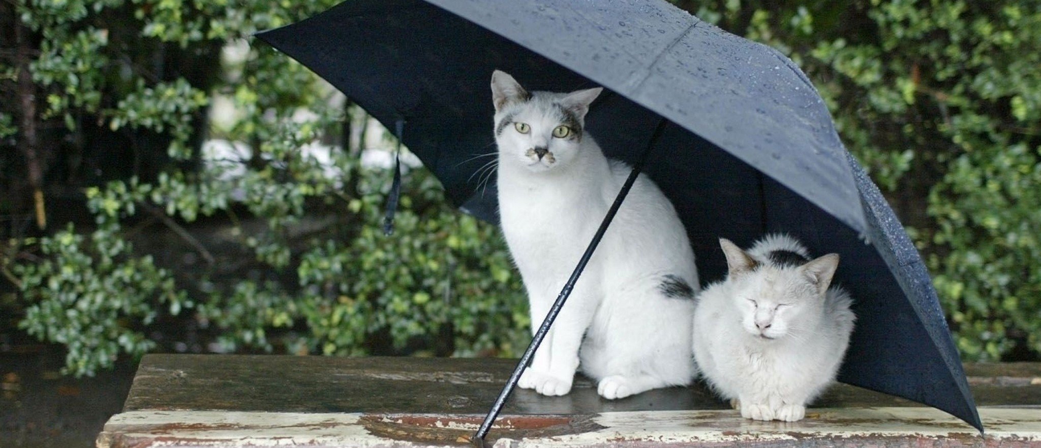 Rainy Day in Cyprus? Top Things to Do & See!