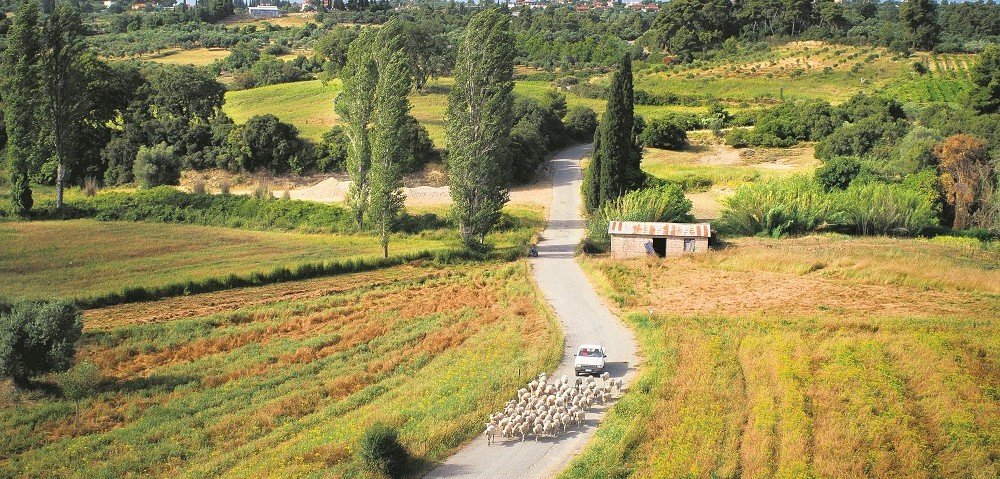 Foreigners Will Be Allowed to Purchase No More Than Two Land Plots in Cyprus