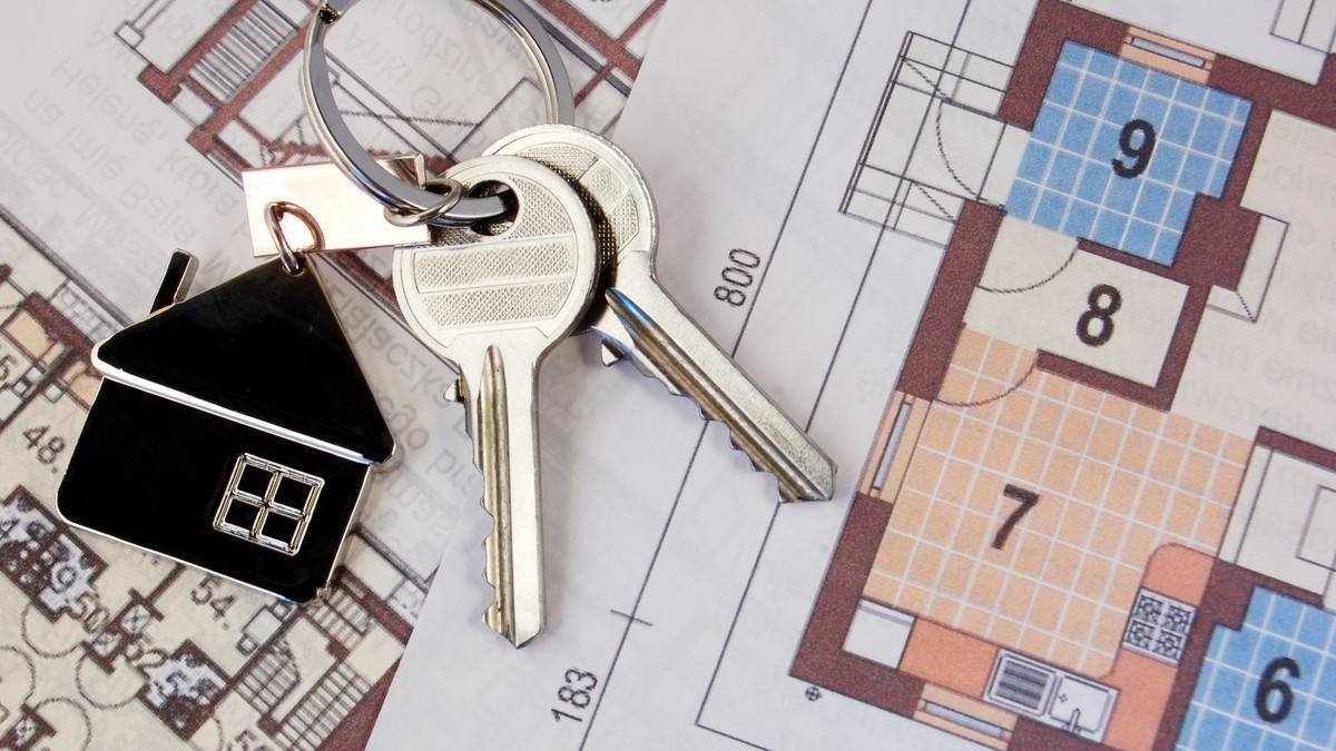 7 типов арендаторов на Кипре. Кого ждать на пороге квартиры?