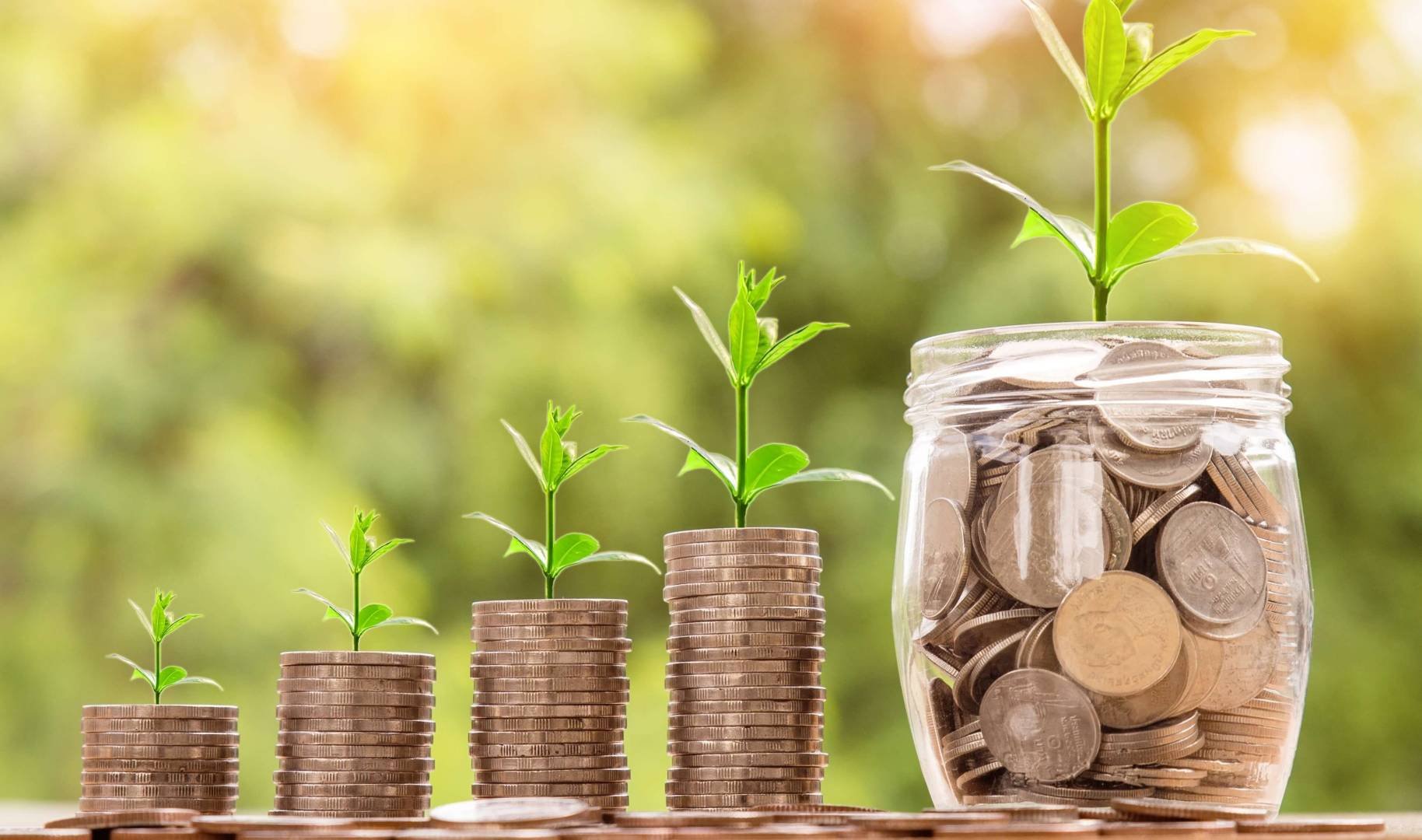 The number of new investment organisations in Cyprus continues to grow rapidly