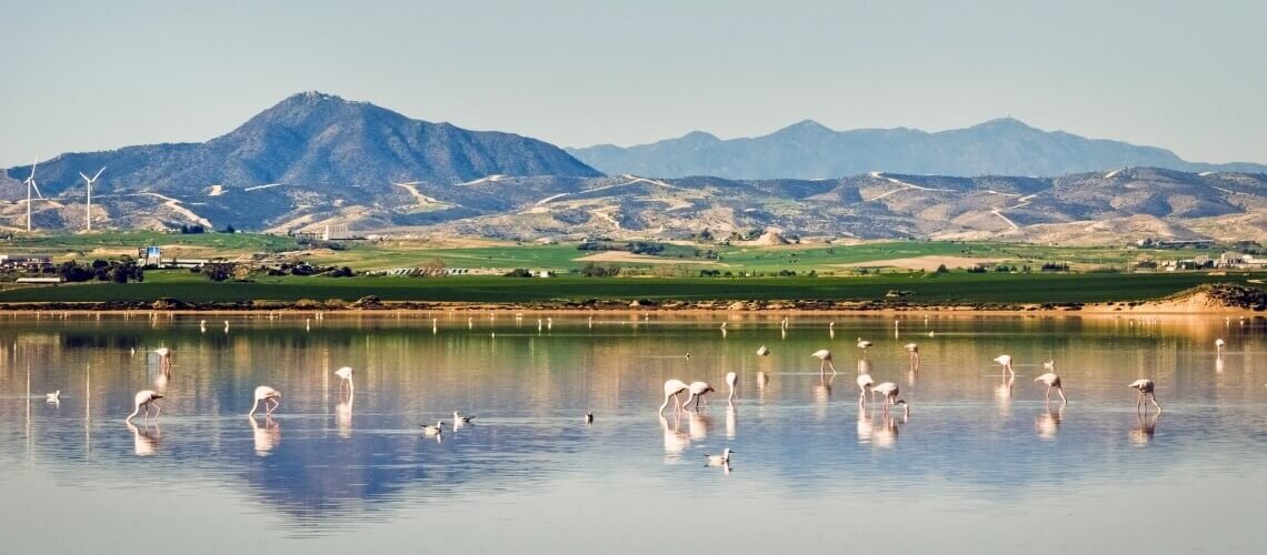 Larnaca Municipality promotes the construction of a new Environmental Information Centre