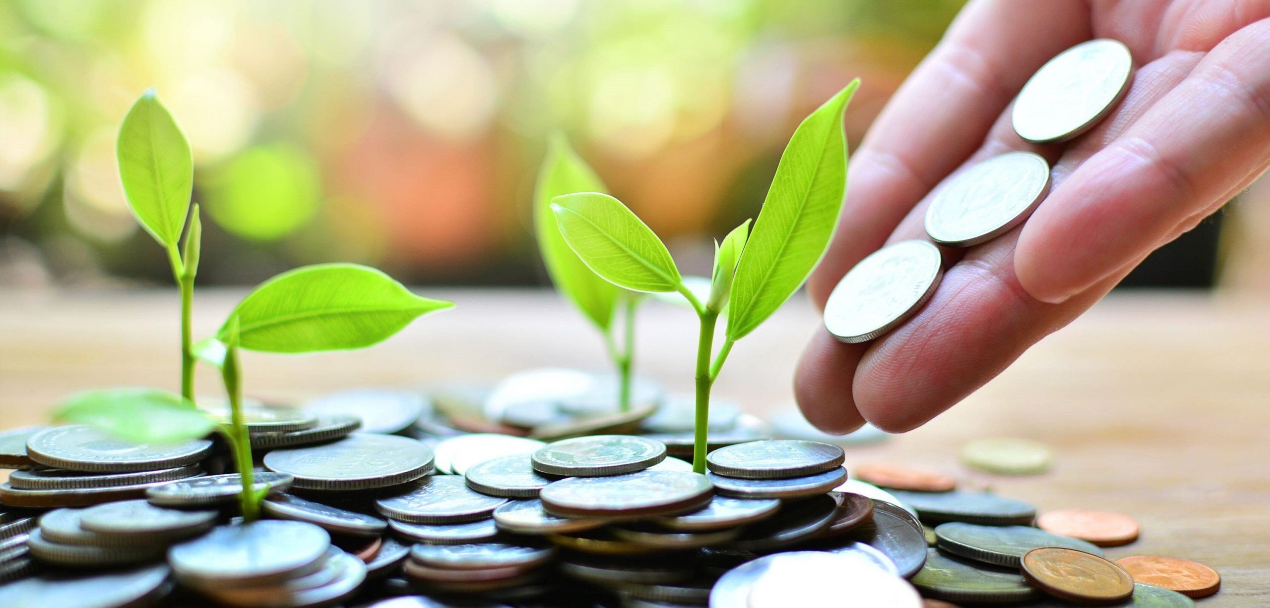 In Cyprus, investment fund assets have decreased