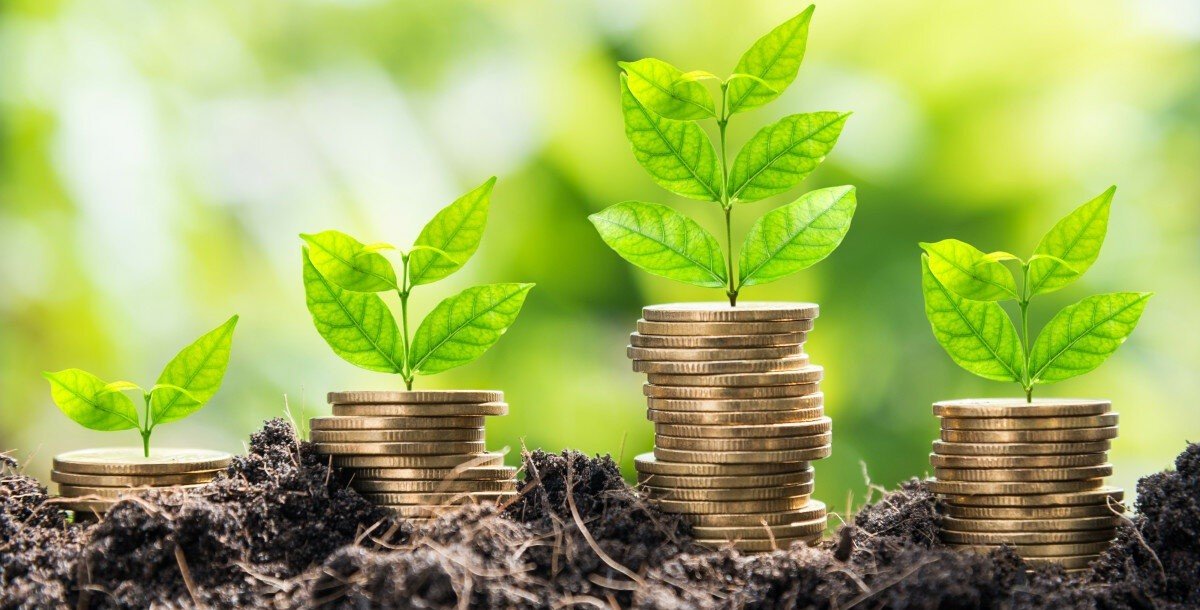 Assets of investment funds in Cyprus are increasing at a rapid pace