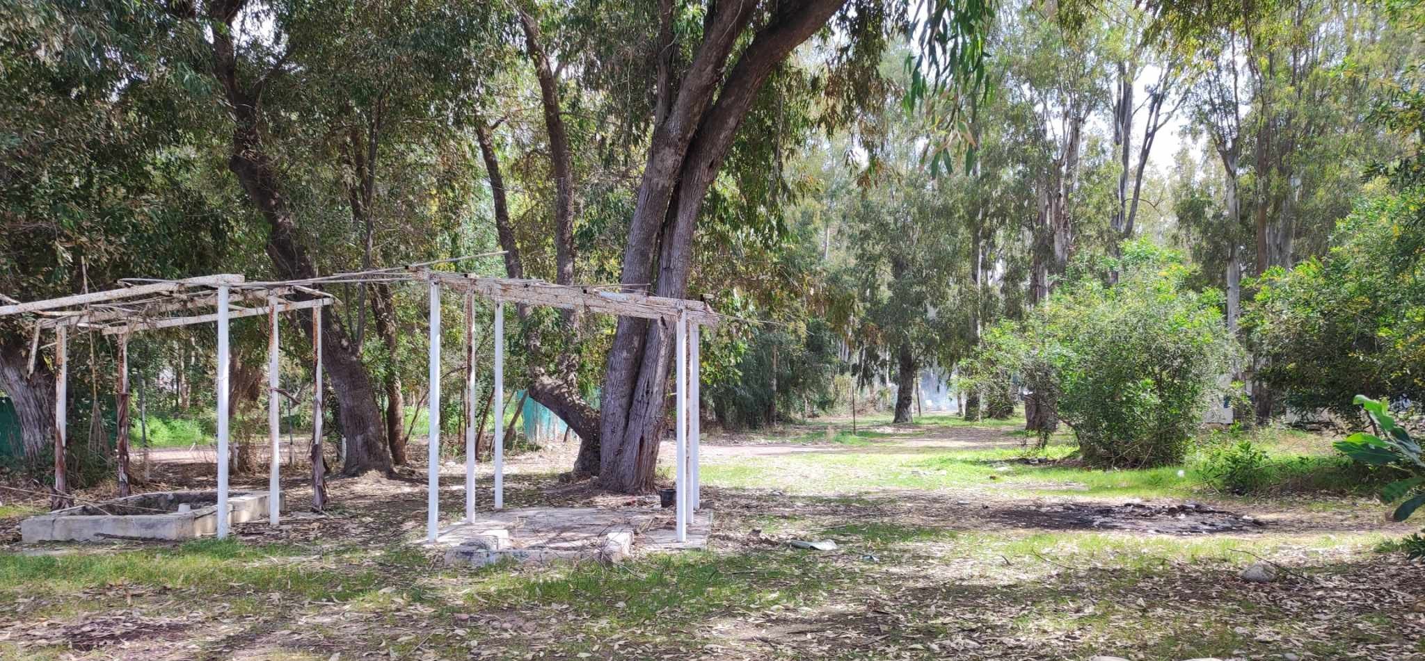 Investor found to modernize the campsite in Polis Chrysochous.