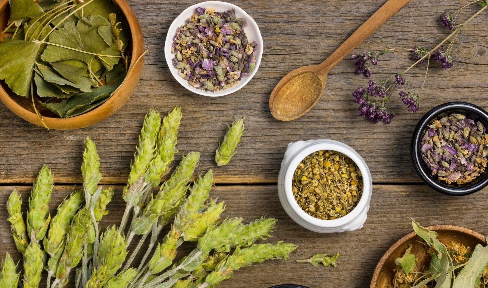 5 Wild Plants Commonly Foraged in Cyprus