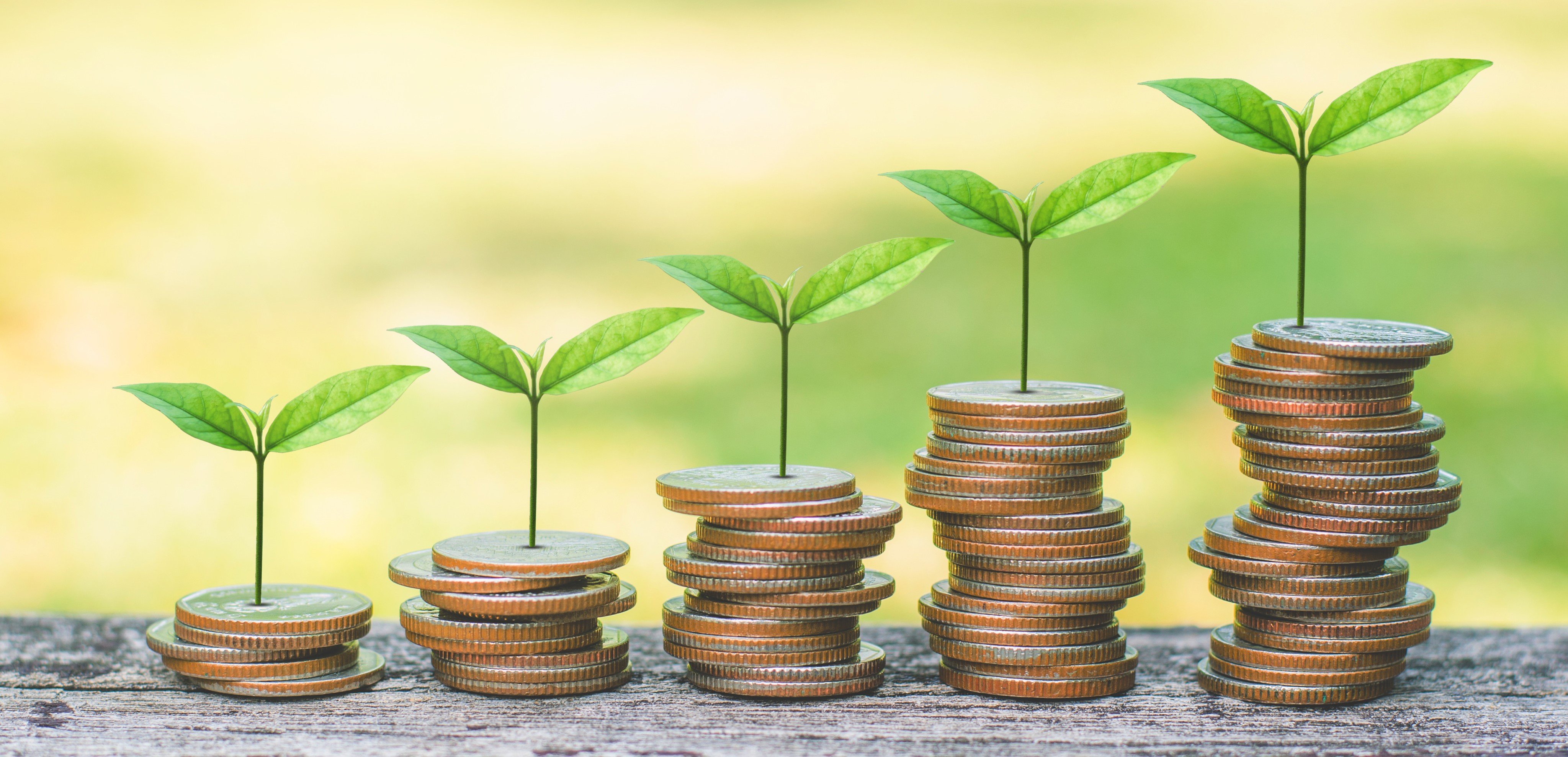 There has been a fall in the number of investment funds in Cyprus, but the volume of their assets is up sharply.