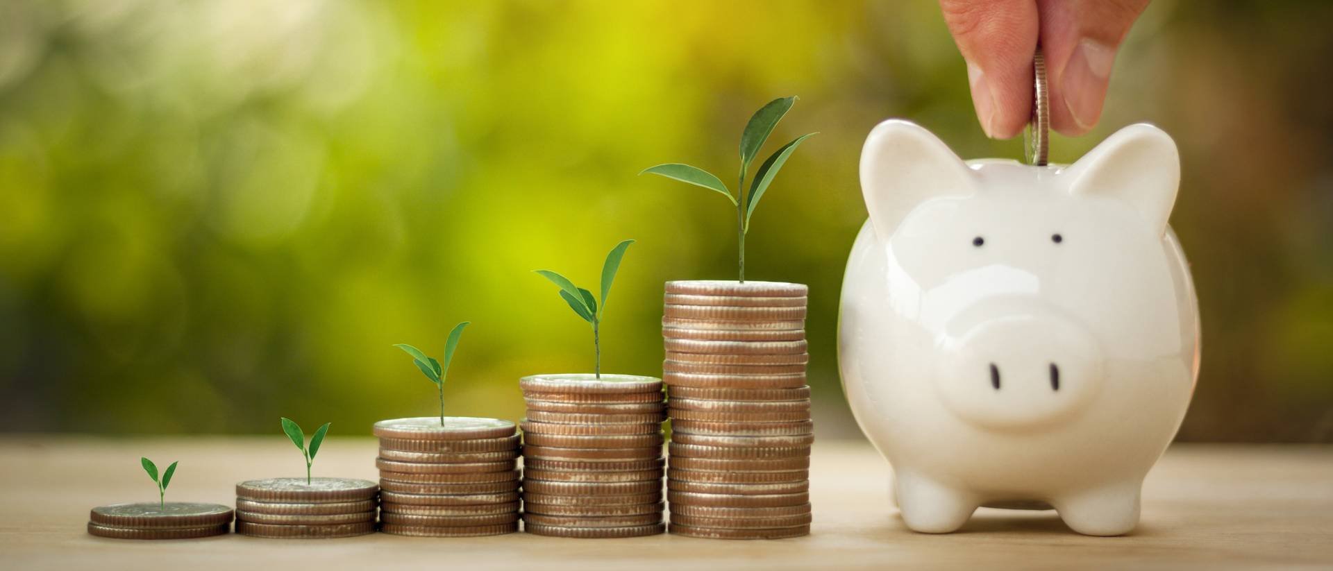 Central Bank of Cyprus: Deposits Increase in August, Loans Decreased