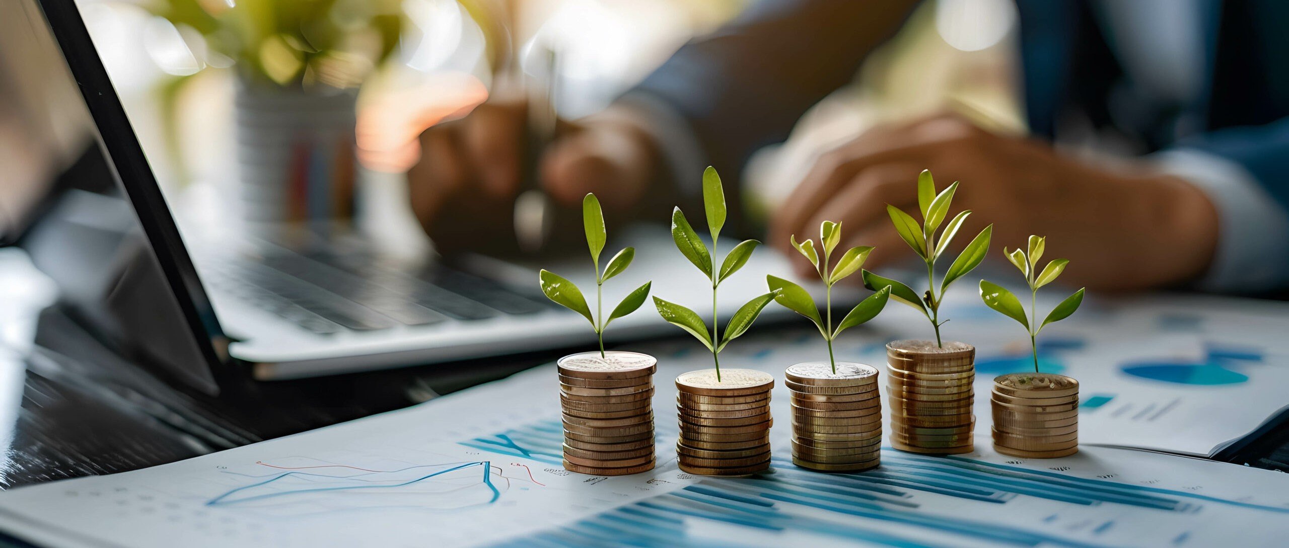 Companies in Cyprus Have Reduced Investment