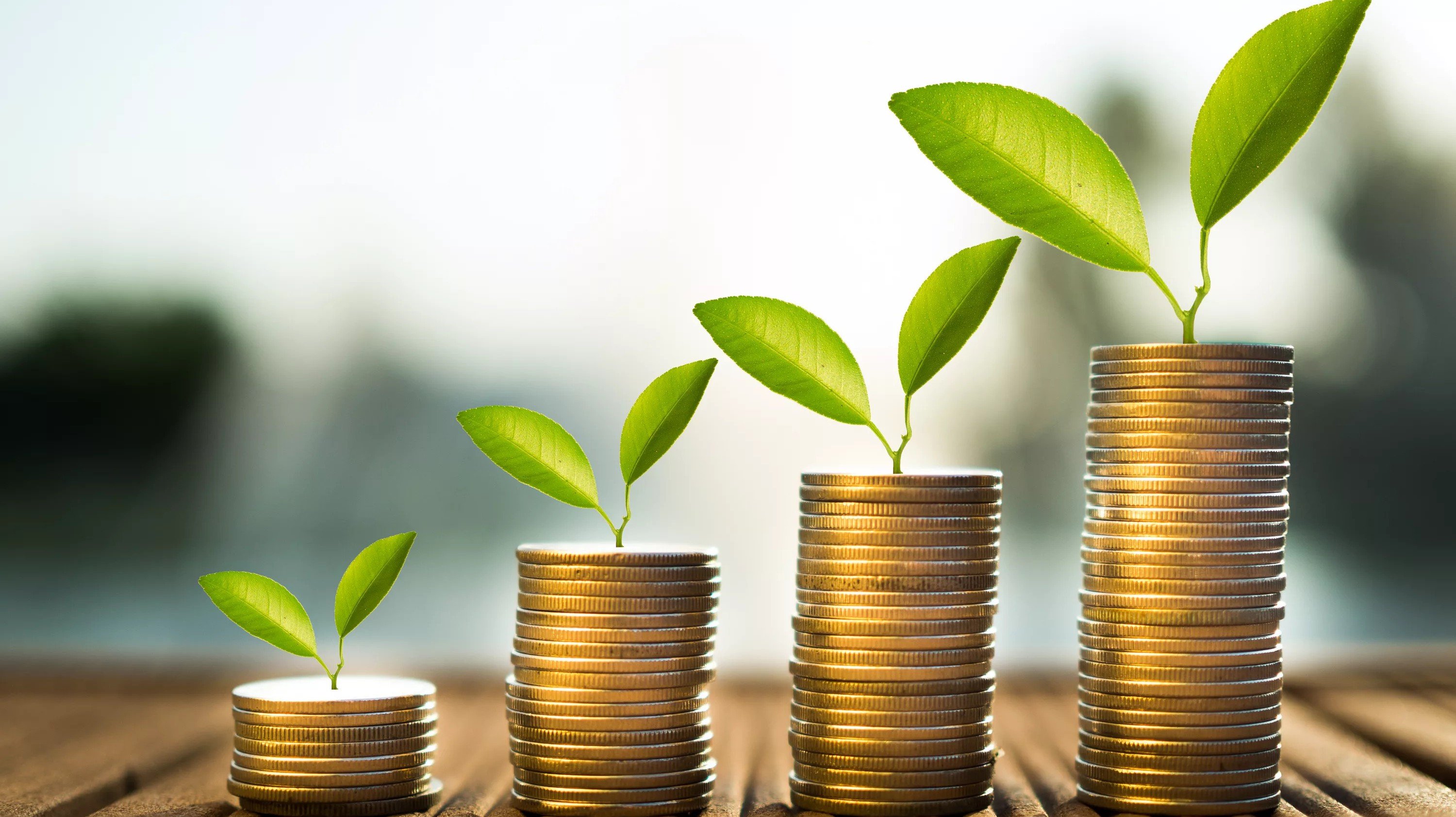 Прибыль Bank of Cyprus выросла до 252 млн евро
