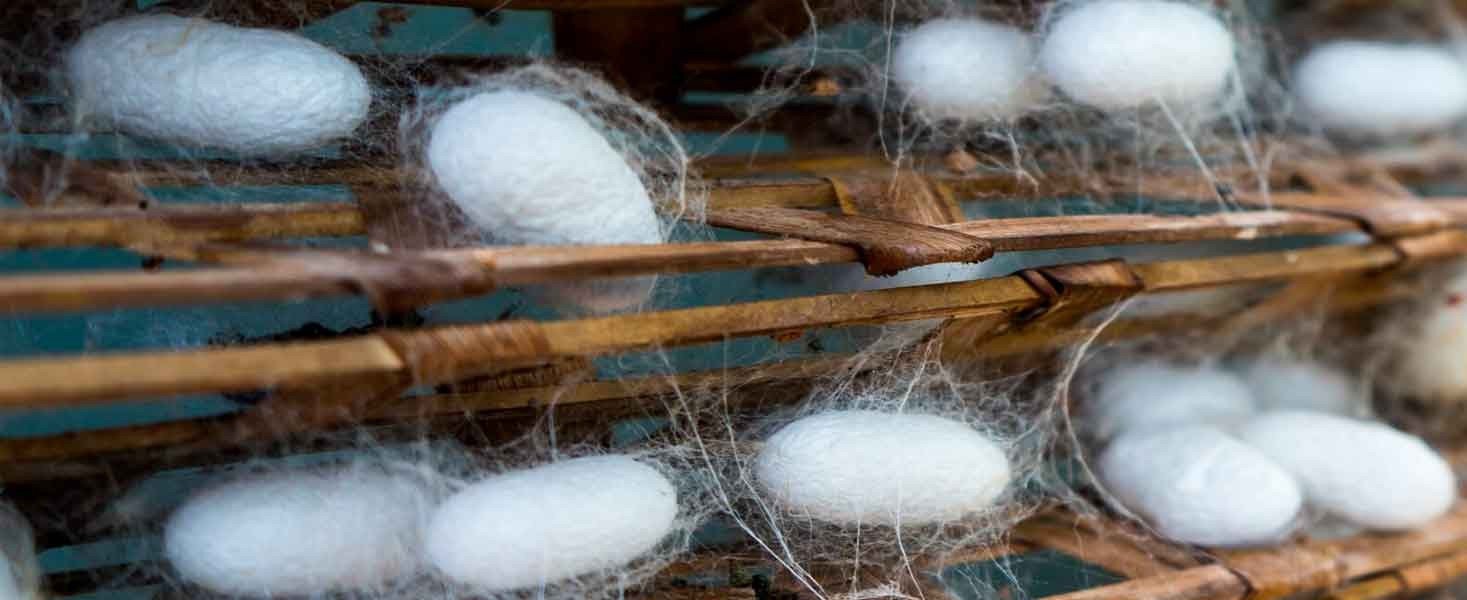 Ancient Silk Traditions of Cyprus