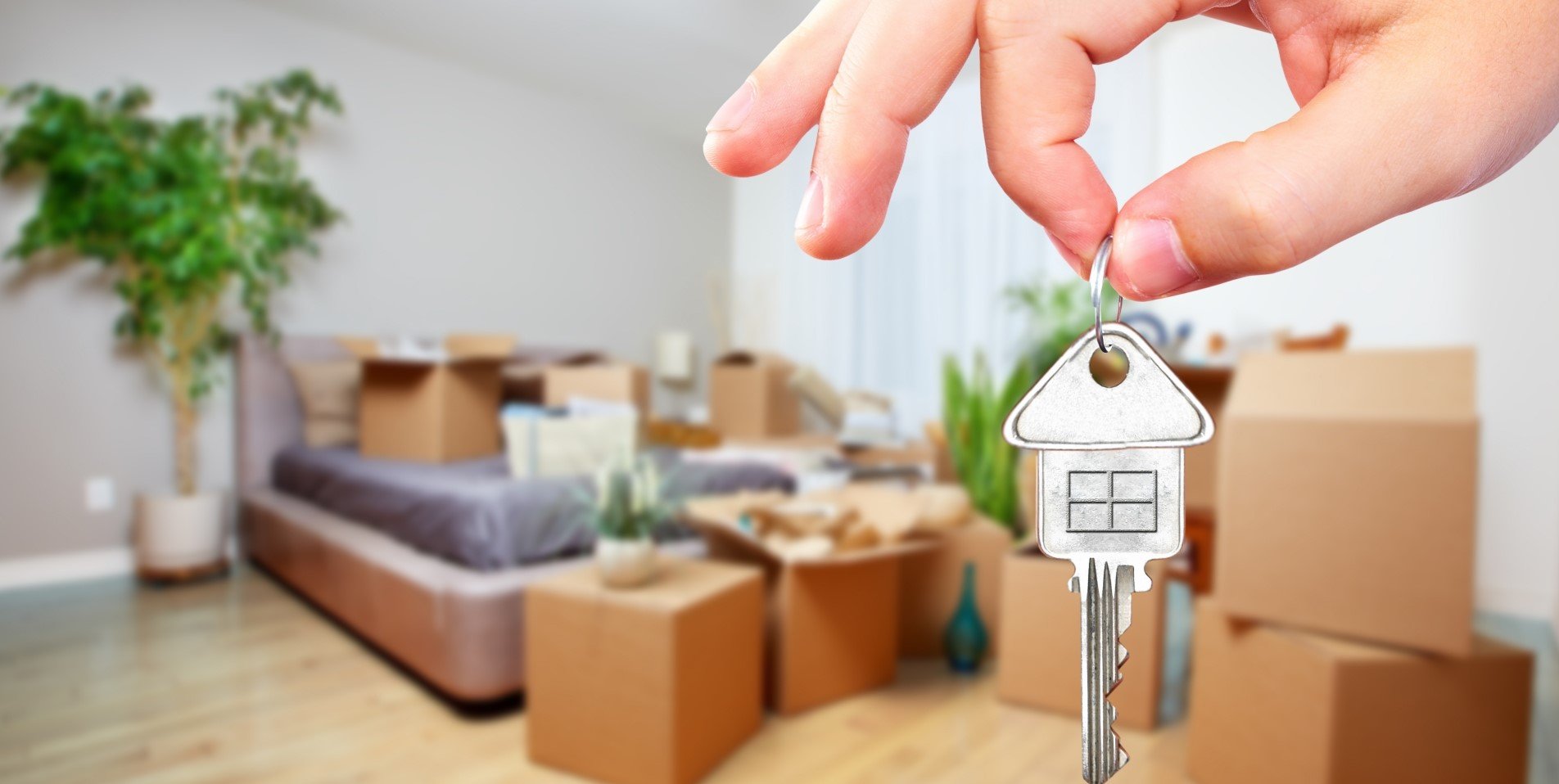 What is the Best Time of the Year to Rent and Rent Out a Property in Cyprus?