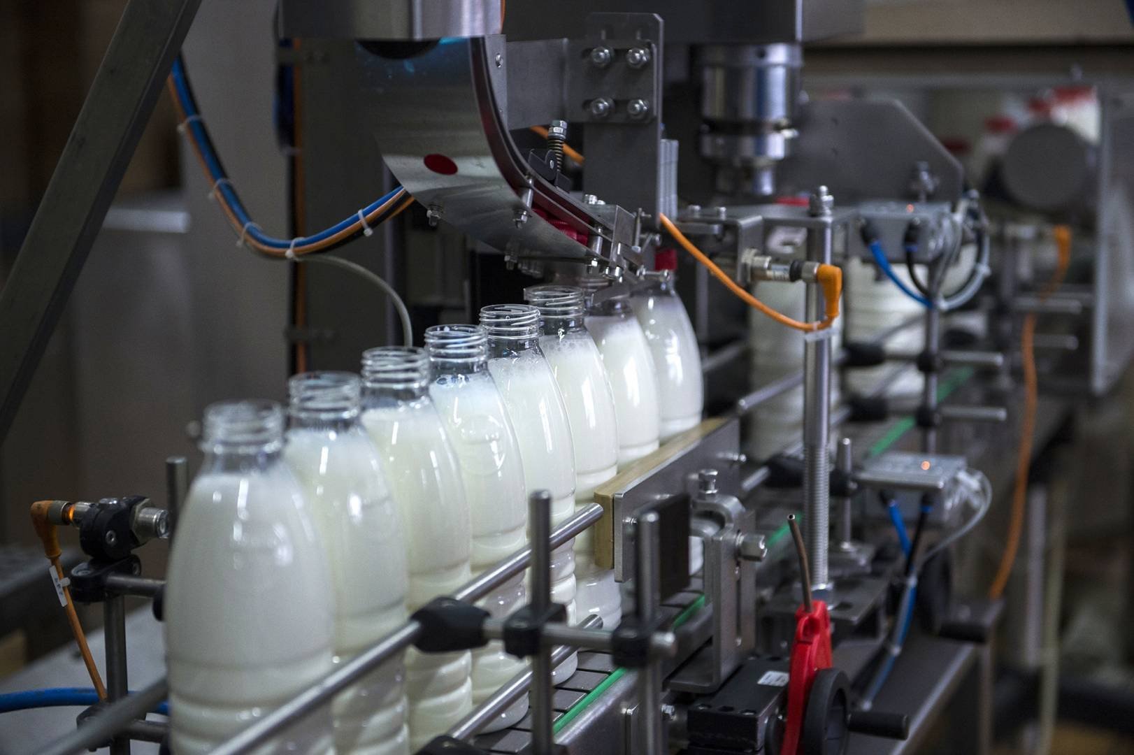 На Кипре появится современный завод по производству молочных продуктов