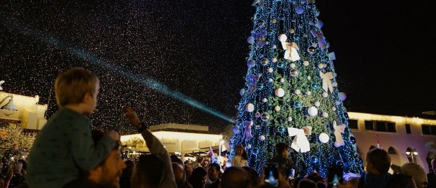 Where and When Will Cyprus Light the Main Christmas Trees?