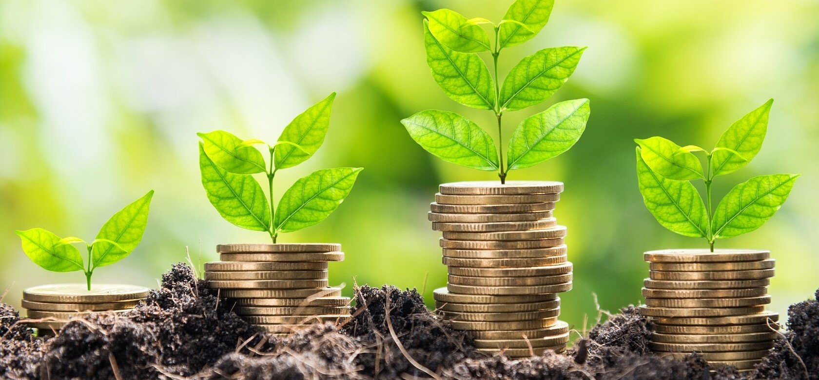 Number of new investment organisations and their assets in Cyprus is steadily increasing