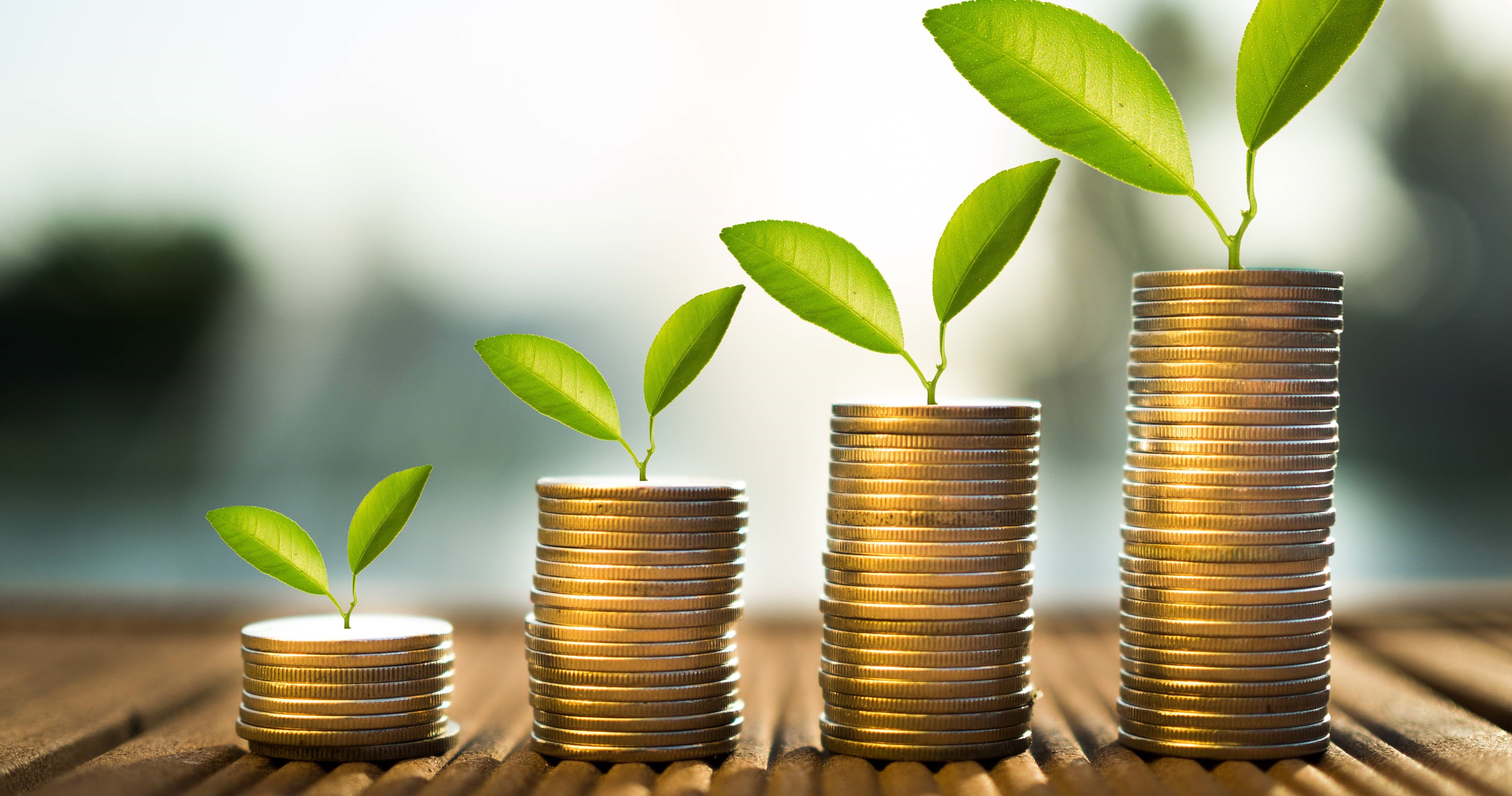Cyprus strengthens its position in the investment sector