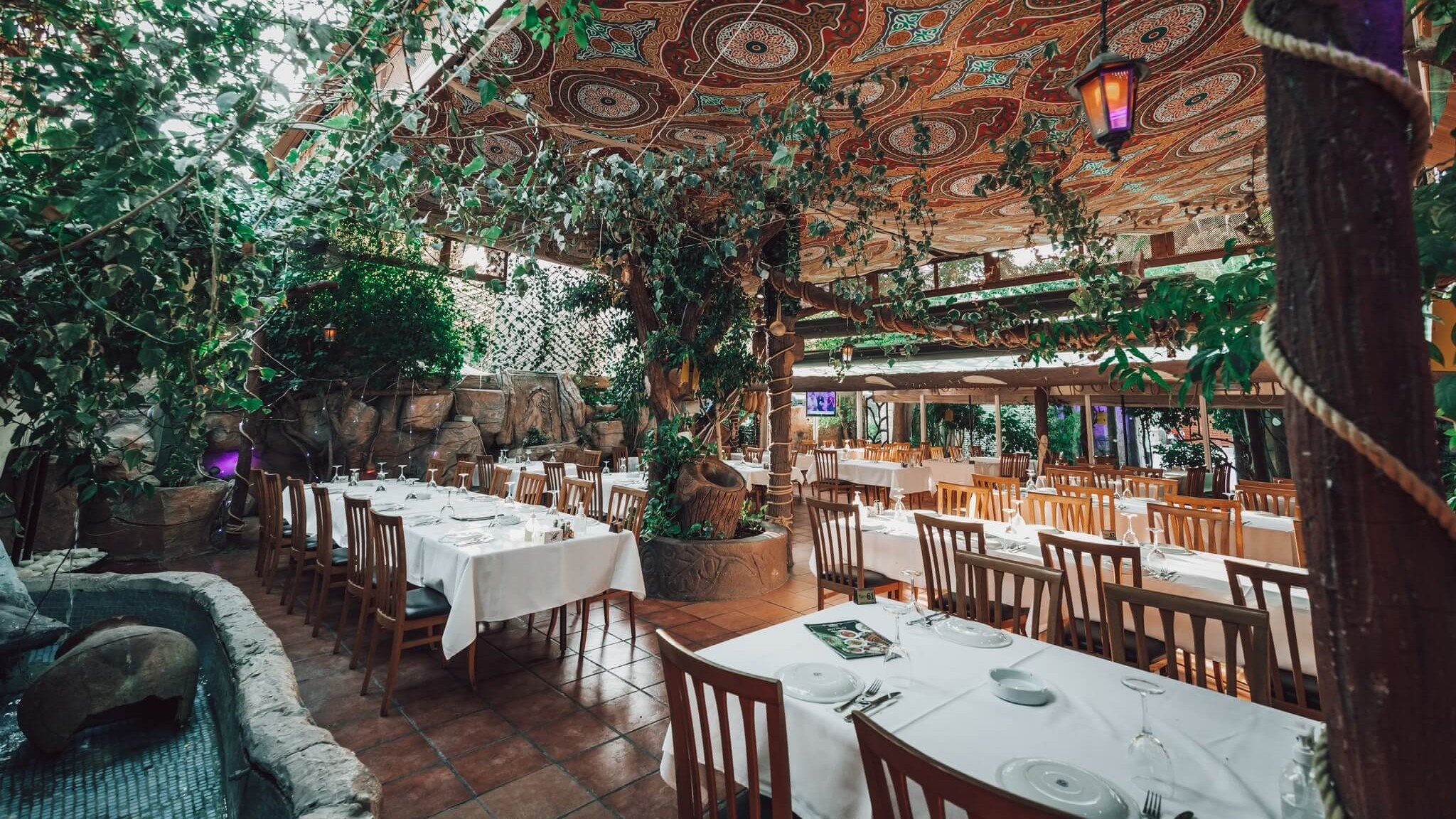 6 Delightful Places in Nicosia Where Vegetarians Will Be Full and Happy