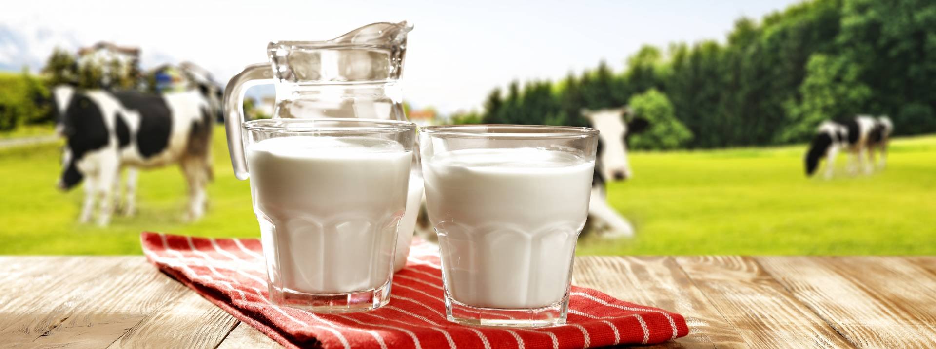 New Dairy Plant To Be Built In Cyprus