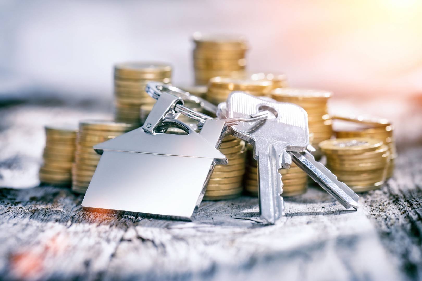 Purchase of Collateralized Property from Banks and Financial Institutions