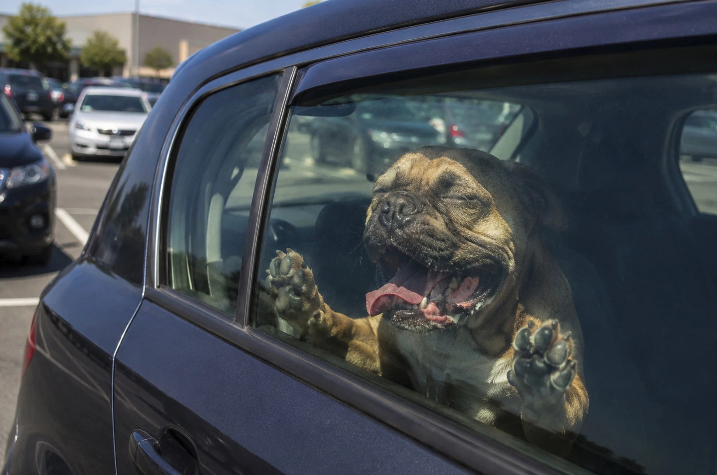 How to Protect Your Car from the Heat in Cyprus: 2026 Guide