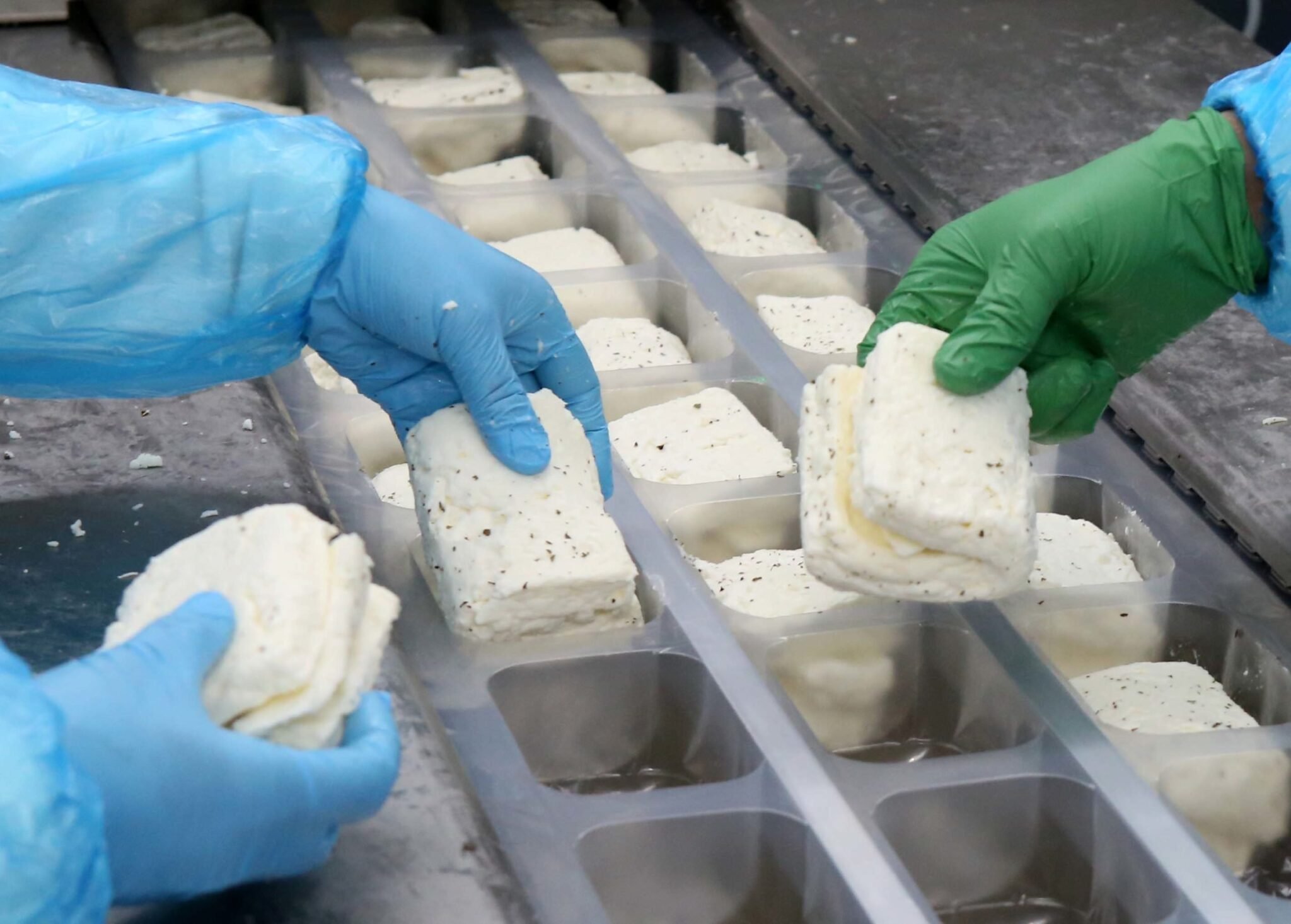 A modern dairy plant will be built in Pissouri