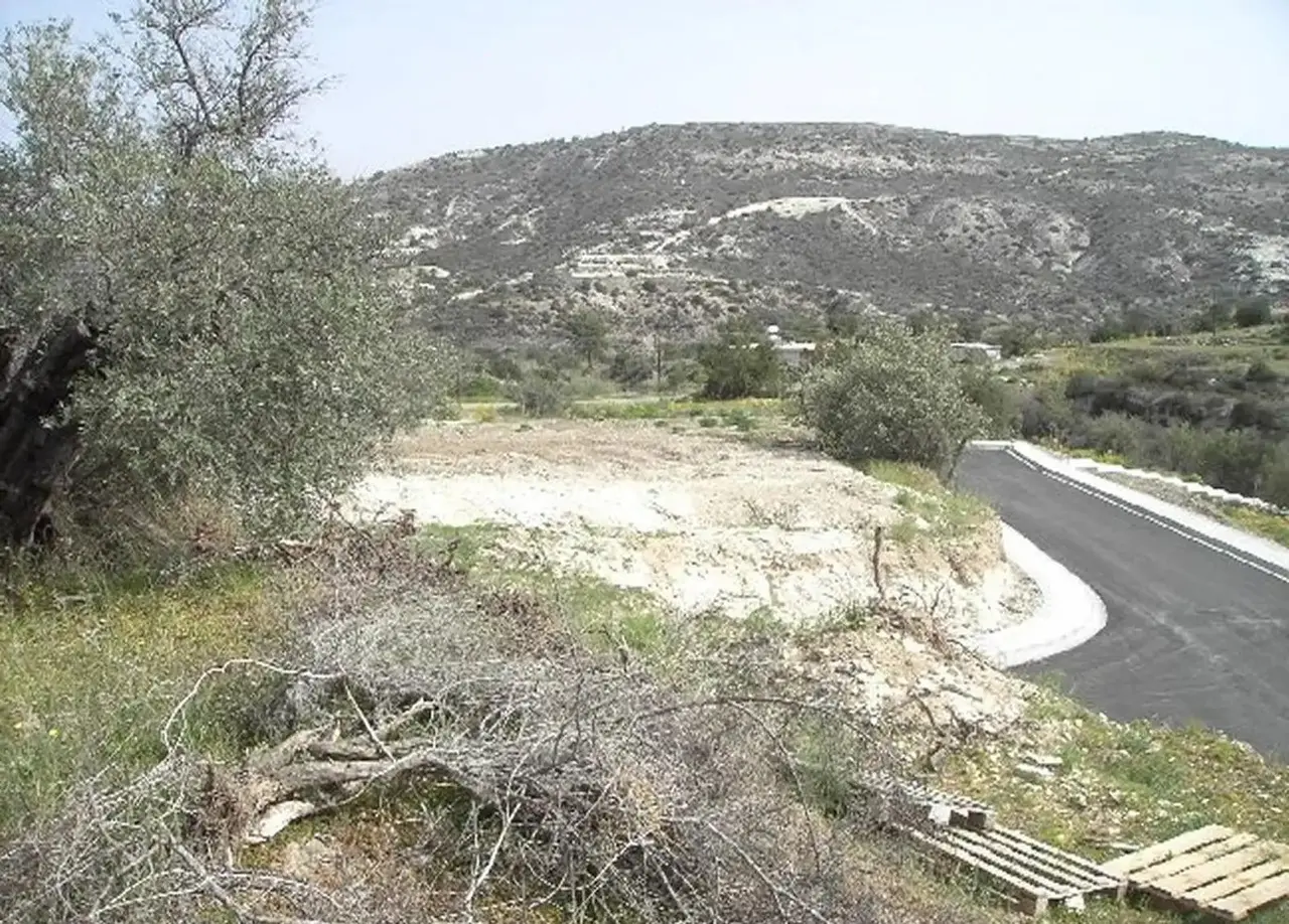  - Image 1