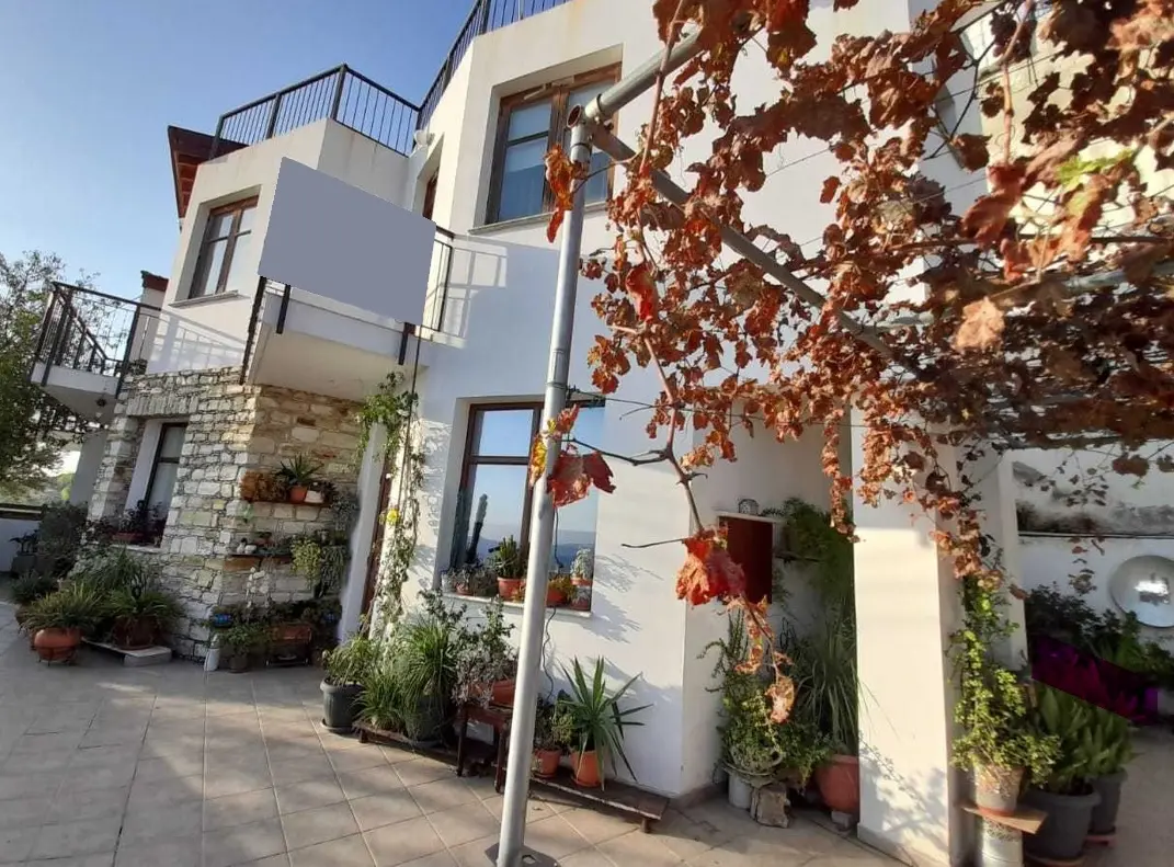 - Image 1