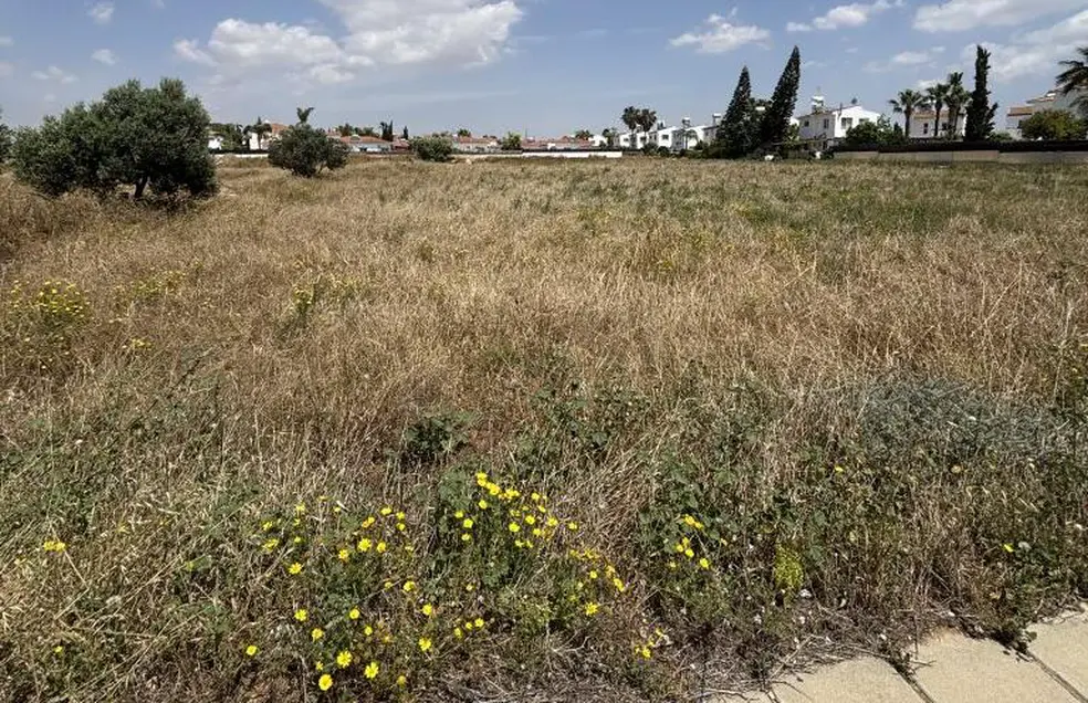  - Image 1