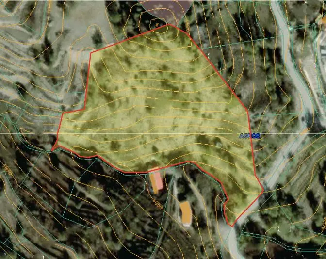  - Image 1
