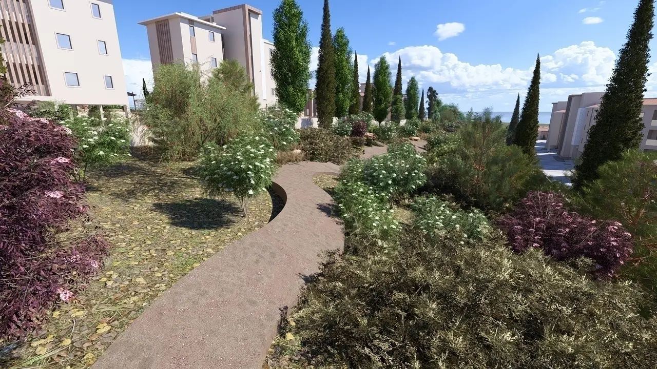  - Image 1