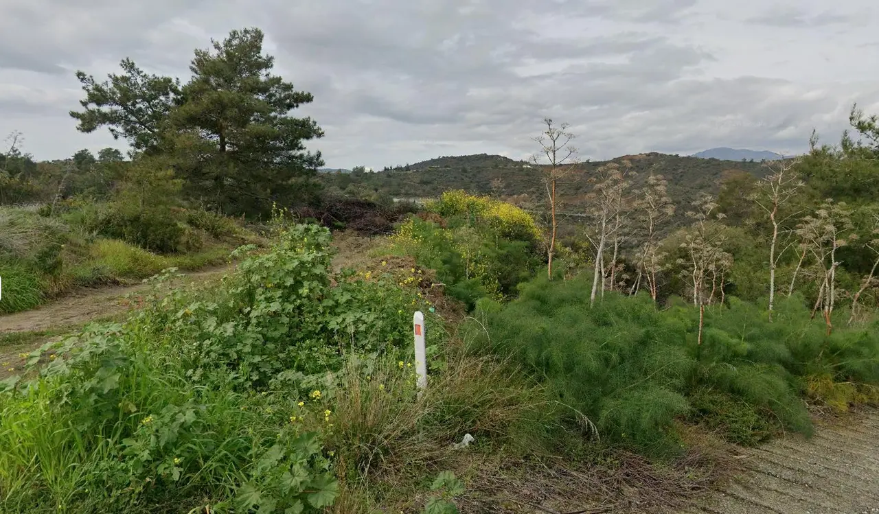  - Image 1