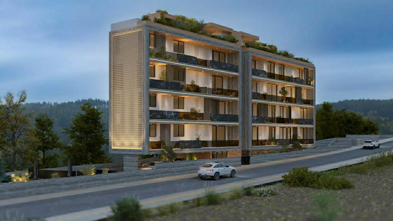 - Image 1