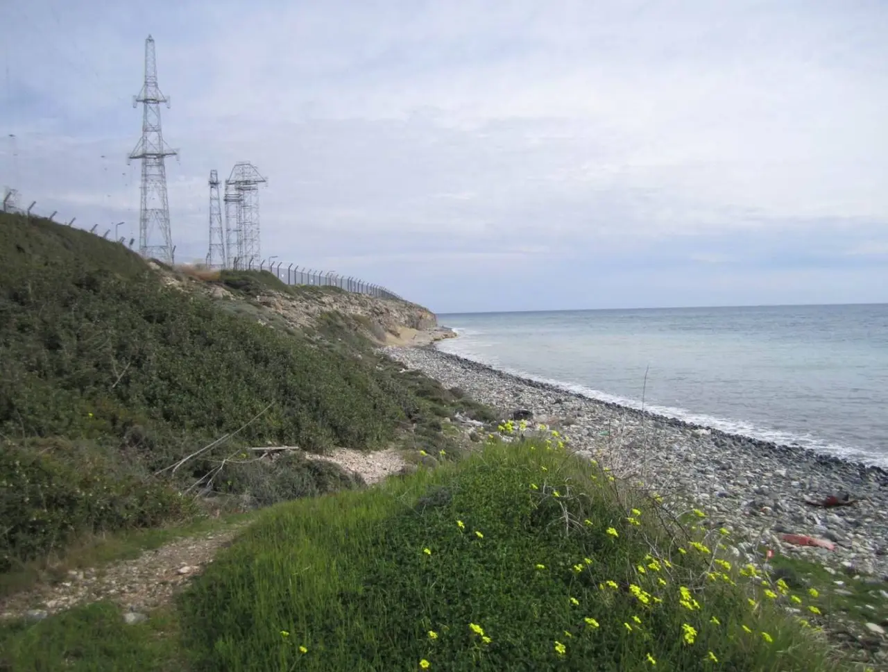 - Image 1