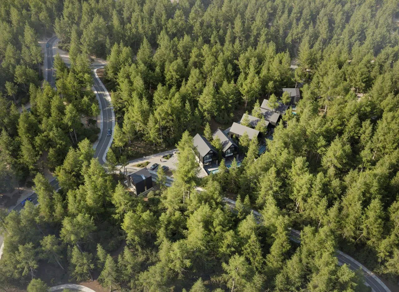  - Image 1