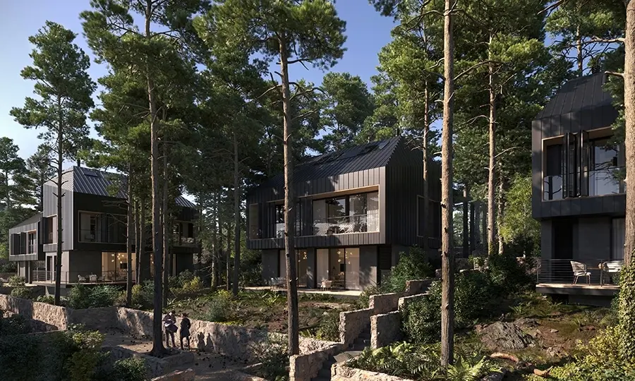  - Image 1