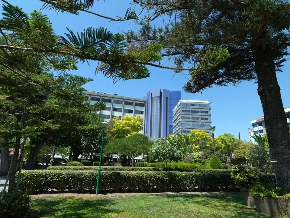 - Image 1
