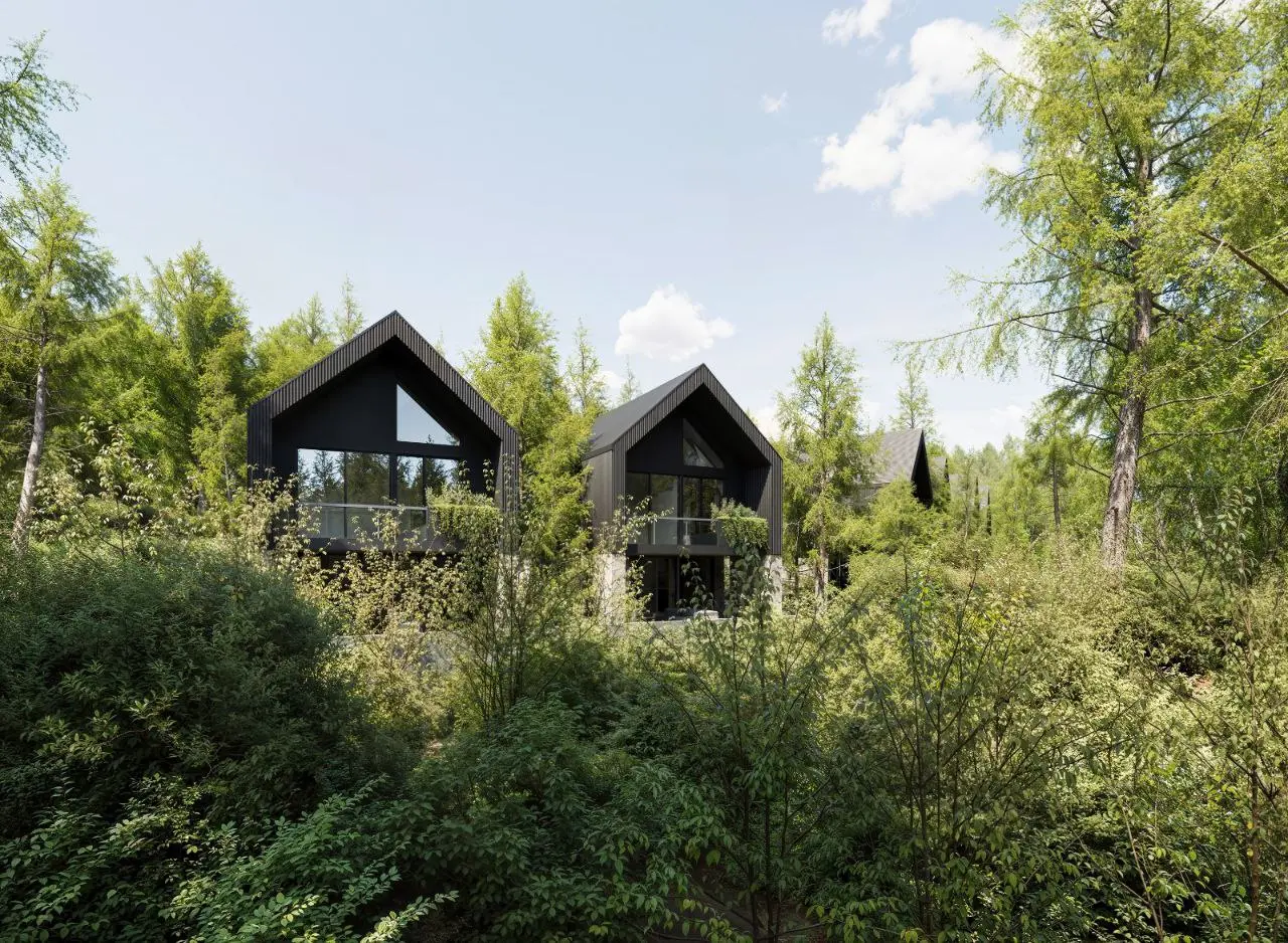  - Image 1